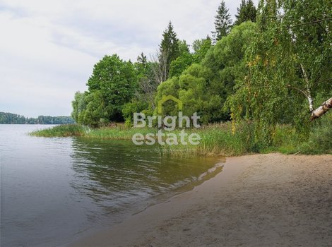 Лесной участок 1,4 Га на берегу Истринского водохранилища. ID 20231