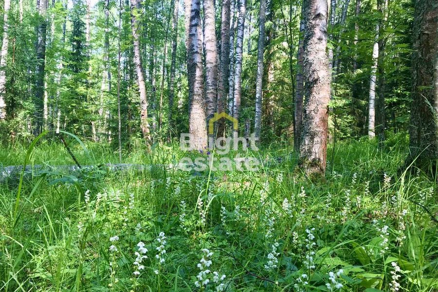 Купить участок с центральными коммуникациями в КП Корабельные сосны-2. ID 20853